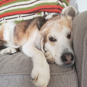 Kristopher Caroline and Hazel! Hunt